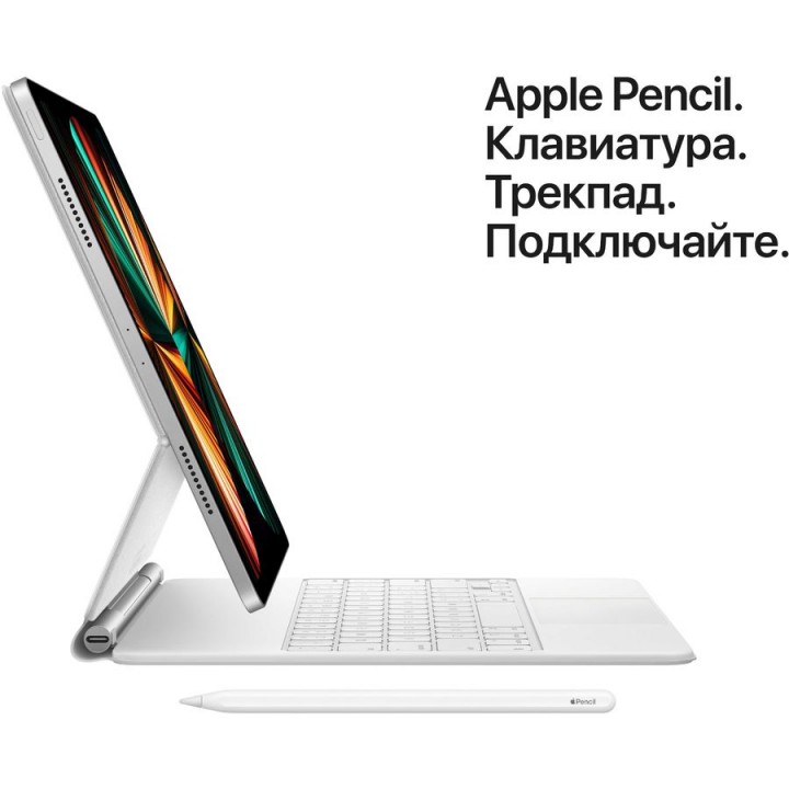 Планшет Apple iPad Pro 2021 11" 2Tb Wi-Fi MHR33RU/A,  16ГБ, 2ТБ серебристый